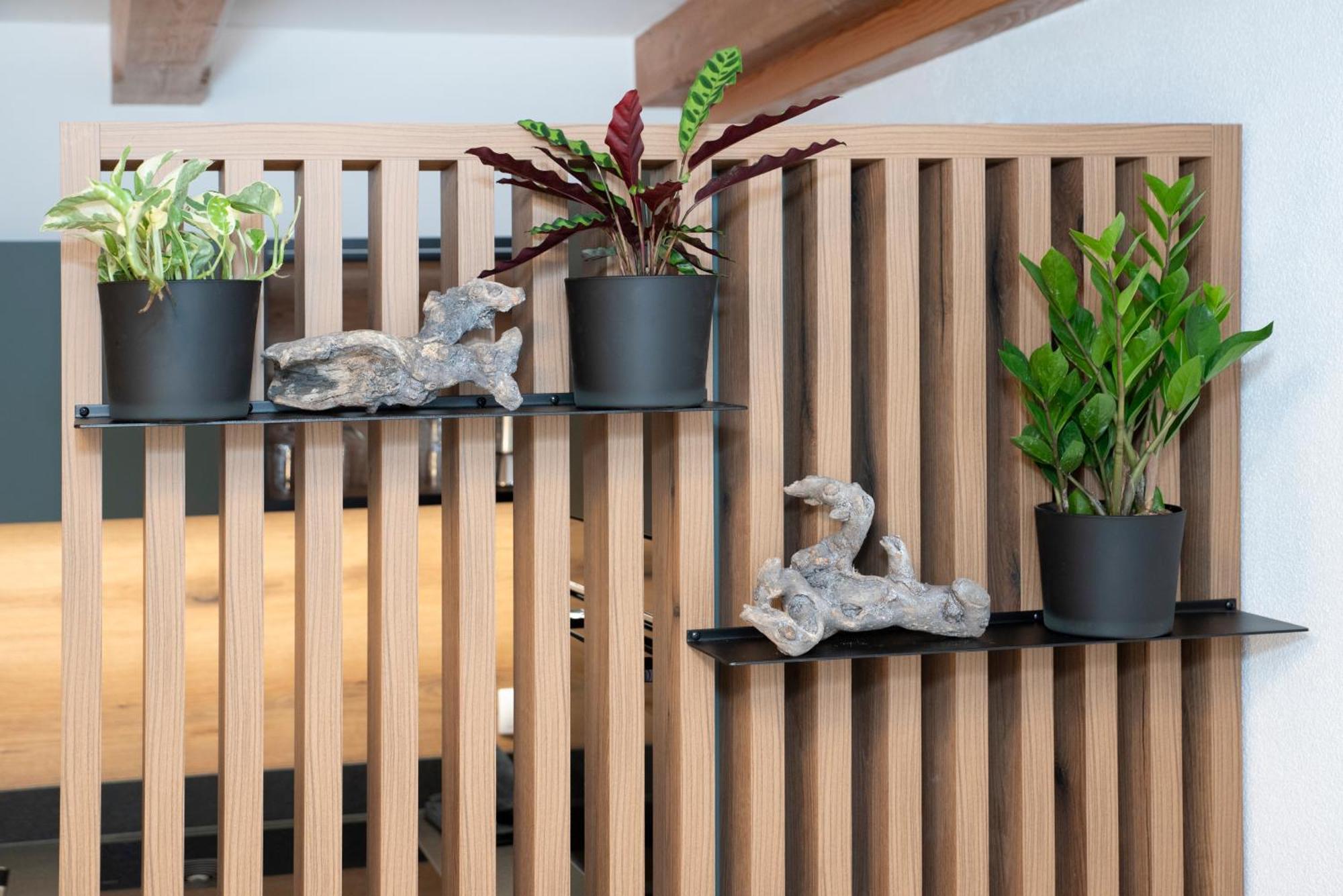 Natural Deluxe Apartments 알프바취 외부 사진