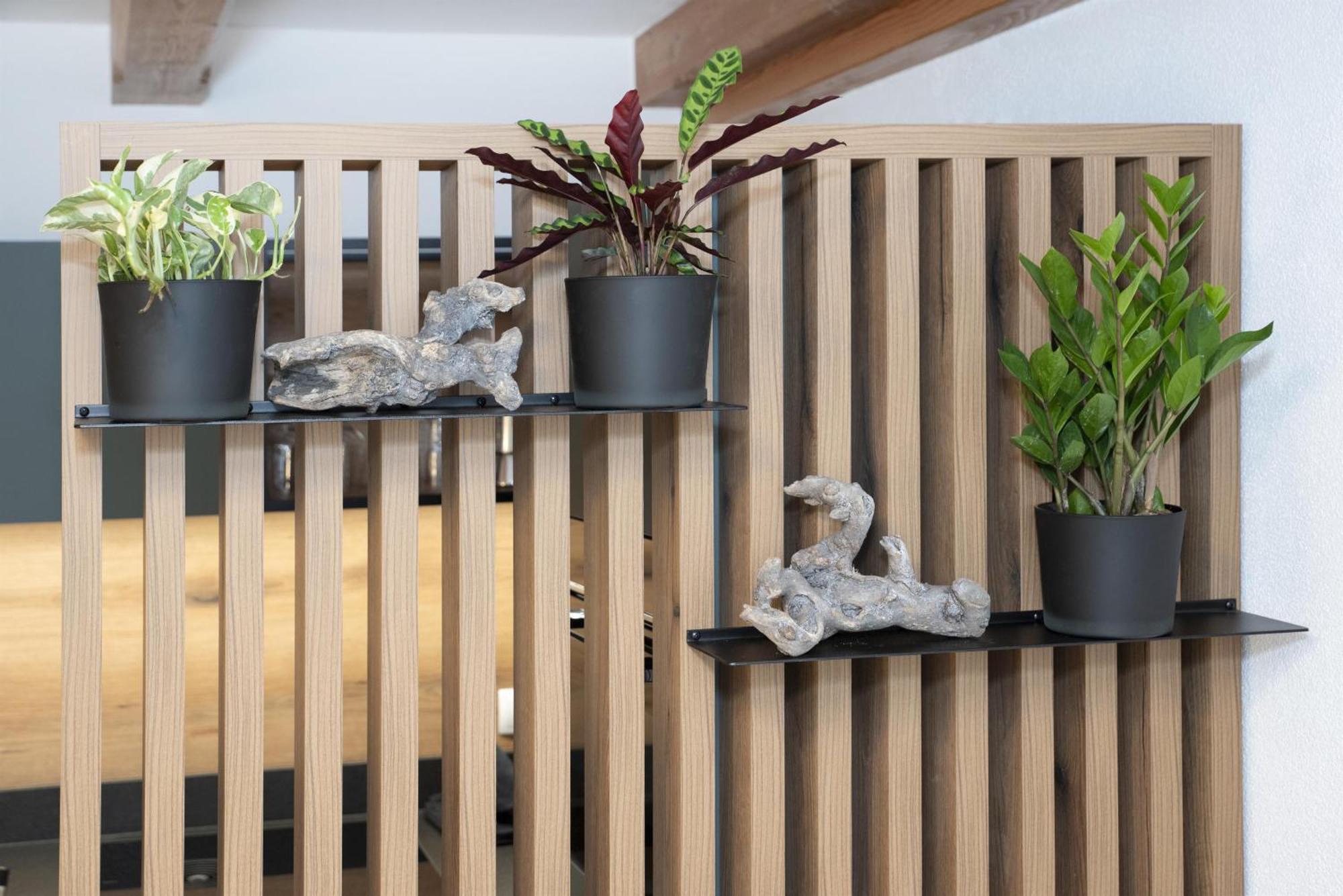 Natural Deluxe Apartments 알프바취 외부 사진